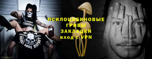 ешки Дмитровск