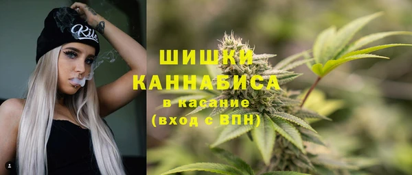 ешки Дмитровск