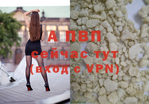 спиды Дмитриев