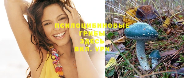 прущие крисы Дмитров