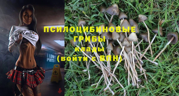 прущие крисы Дмитров