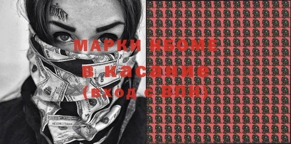 дурь Ельня
