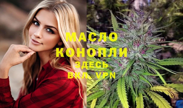 спиды Дмитриев