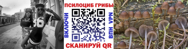 нарко площадка какой сайт  MEGA ONION  Югорск  купить наркотики сайты  Галлюциногенные грибы мухоморы 