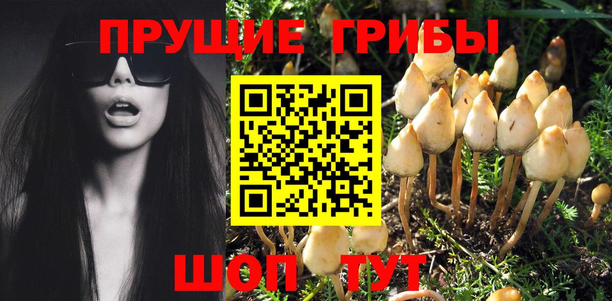 Галлюциногенные грибы мицелий  Галлюциногенные грибы GOLDEN TEACHER  Югорск  Вход с VPN 